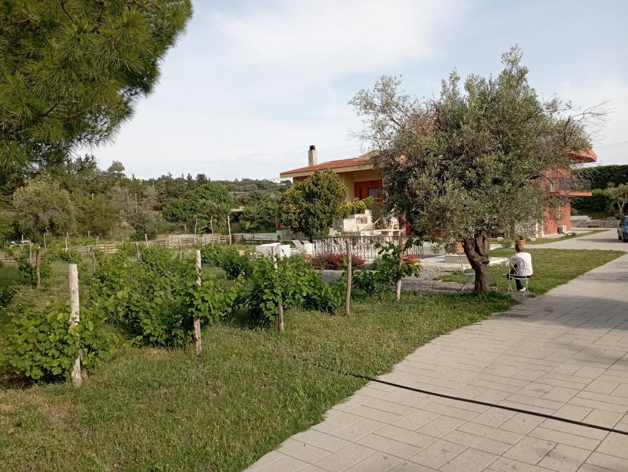 Emarmene Home With Private Pool Near Rhodes Town & Airport Koskinou  Dış mekan fotoğraf